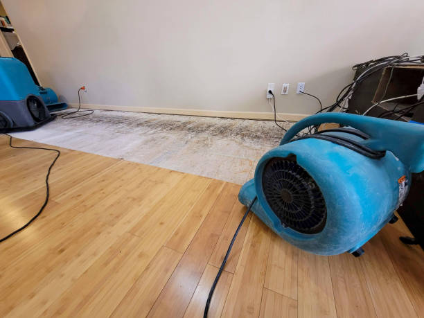 Professional Structural Drying technician working in Fresh Meadows, NY